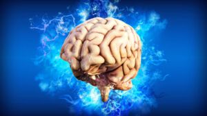 neuralink-co-to-jest-transhumanizm-chipy-w-mozgu