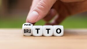 3800-brutto-ile-to-netto-analiza-dochodow-z-pensji-po-odjeciu-podatkow-i-skladek / Fot. FrankHH, Shutterstock.com