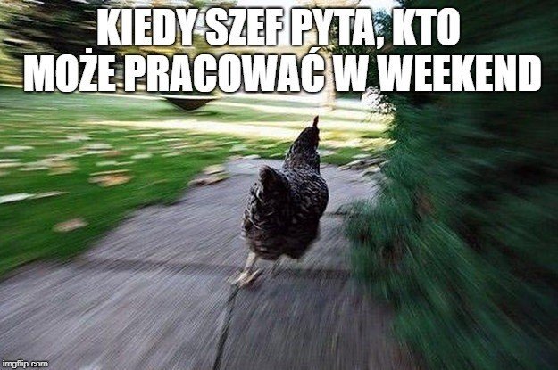 memy o pracy